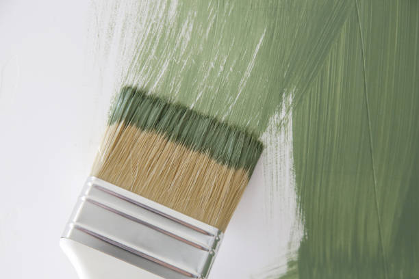 Best Water Damage & Mold Remediation  in Graniteville, SC