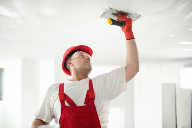 Asbestos and Lead Testing During Mold Inspection in Graniteville, SC
