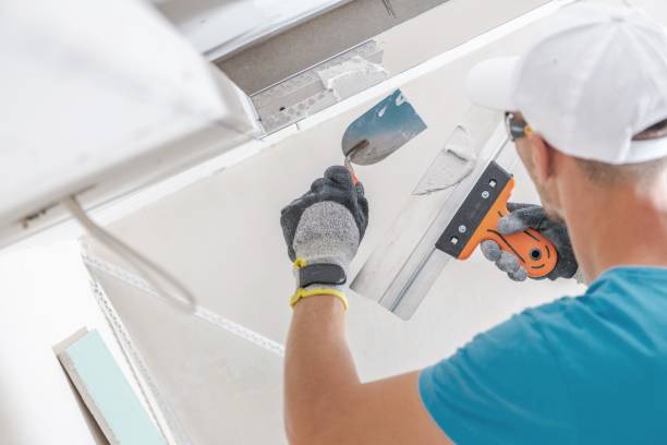 Best Asbestos and Lead Testing During Mold Inspection  in Graniteville, SC